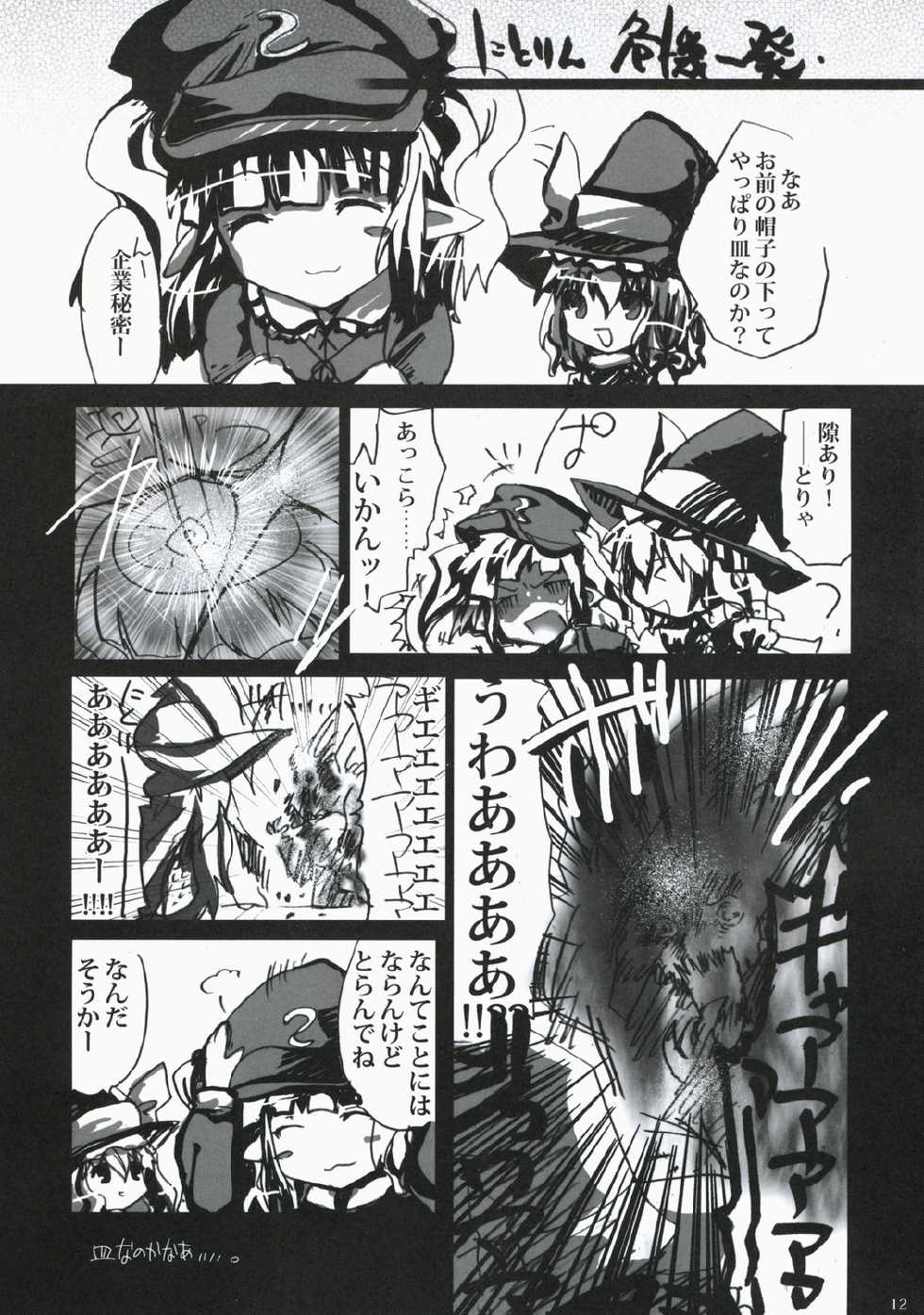 (Mimiket 19) [Burning Soul (Sakayaki)] Touhou Hon (Touhou Project) - Page 11