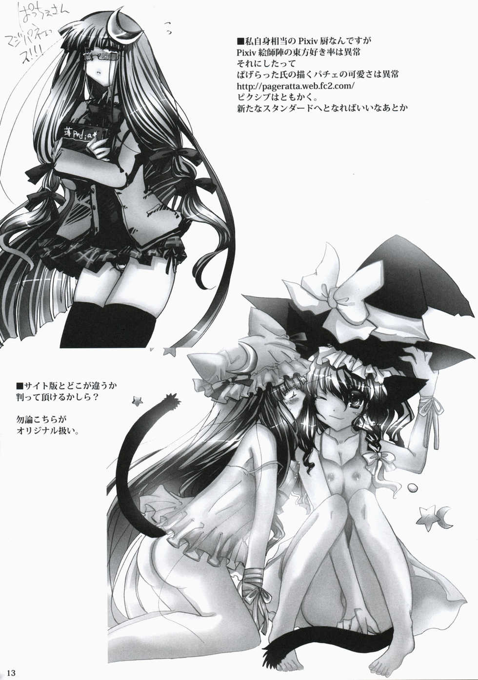 (Mimiket 19) [Burning Soul (Sakayaki)] Touhou Hon (Touhou Project) - Page 12