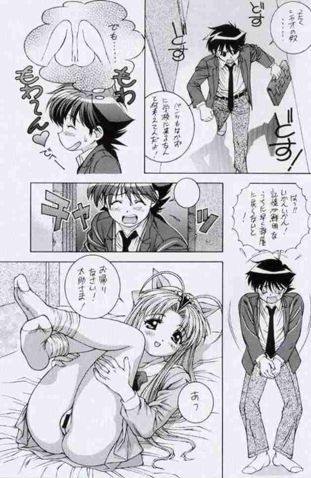 (C56) [Doudan Tsutsuji (Doudantsutsuji, Hirokawa Tomo)] Getten! (Mamotte Shugogetten) - Page 11