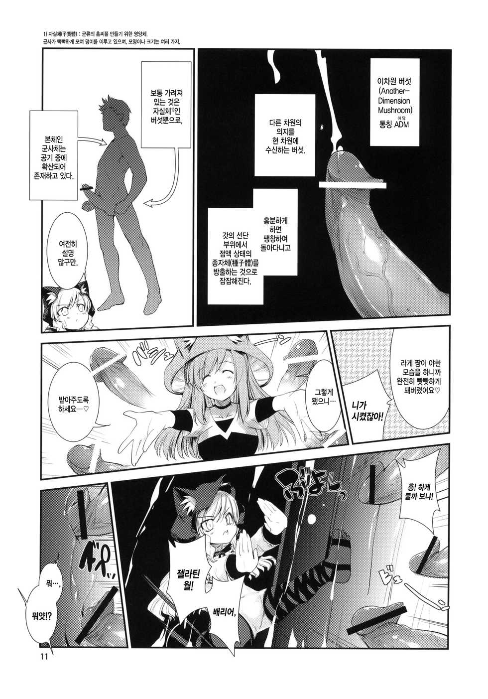 (C77) [ISOTONIX (Nixinamo:Lens)] X-GAME Nekokino: Rage [Korean] [Team Edge] - Page 10