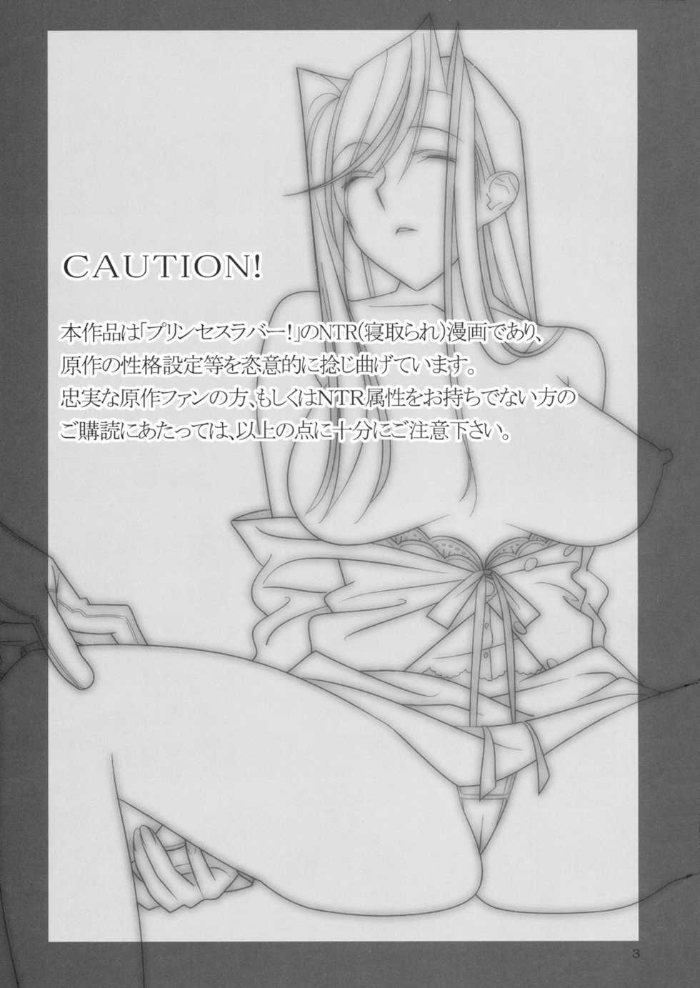 [Hito no Fundoshi (Yukiyoshi Mamizu)] Admired beautiful flower. 2 ~Sleeping Princess~ (Princess Lover!) [Chinese] - Page 2