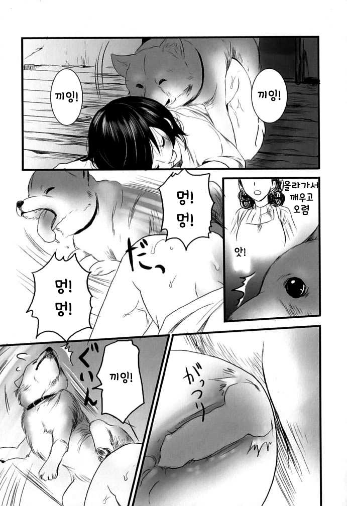 [Shiraishi Asuka] Kesa no Wanko | The Dog's Morning (Kemono For Essential 8) [Korean] - Page 7