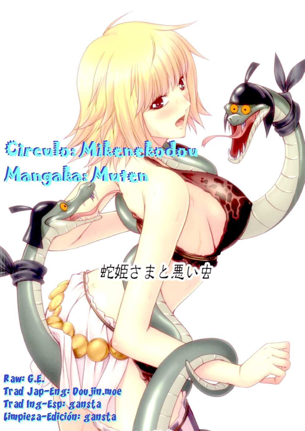 (C84) [Mikenekodou (Muten)] Hebi Hime-sama to Warui Mushi (One Piece) [Spanish] [ganstatrad] - Page 38