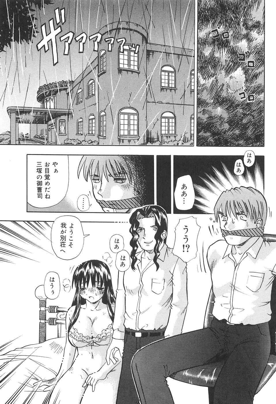[Tomiaki Yuu] Seiyoku Maid - Page 27