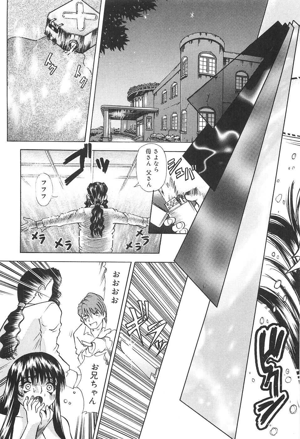 [Tomiaki Yuu] Seiyoku Maid - Page 39