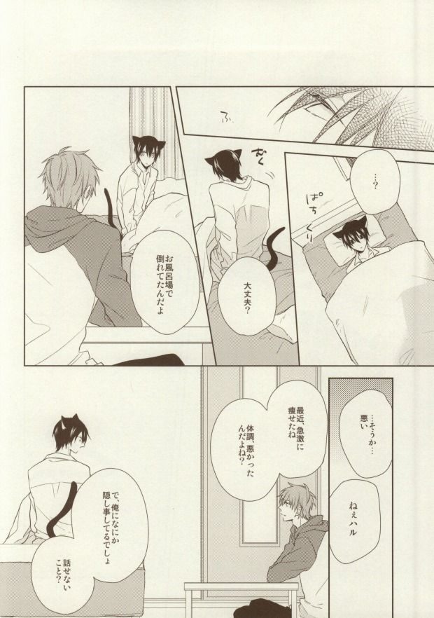 (Renai Survival) [CASHLAIM (Haru)] Itadakimasu Gochisousama (Free!) - Page 18