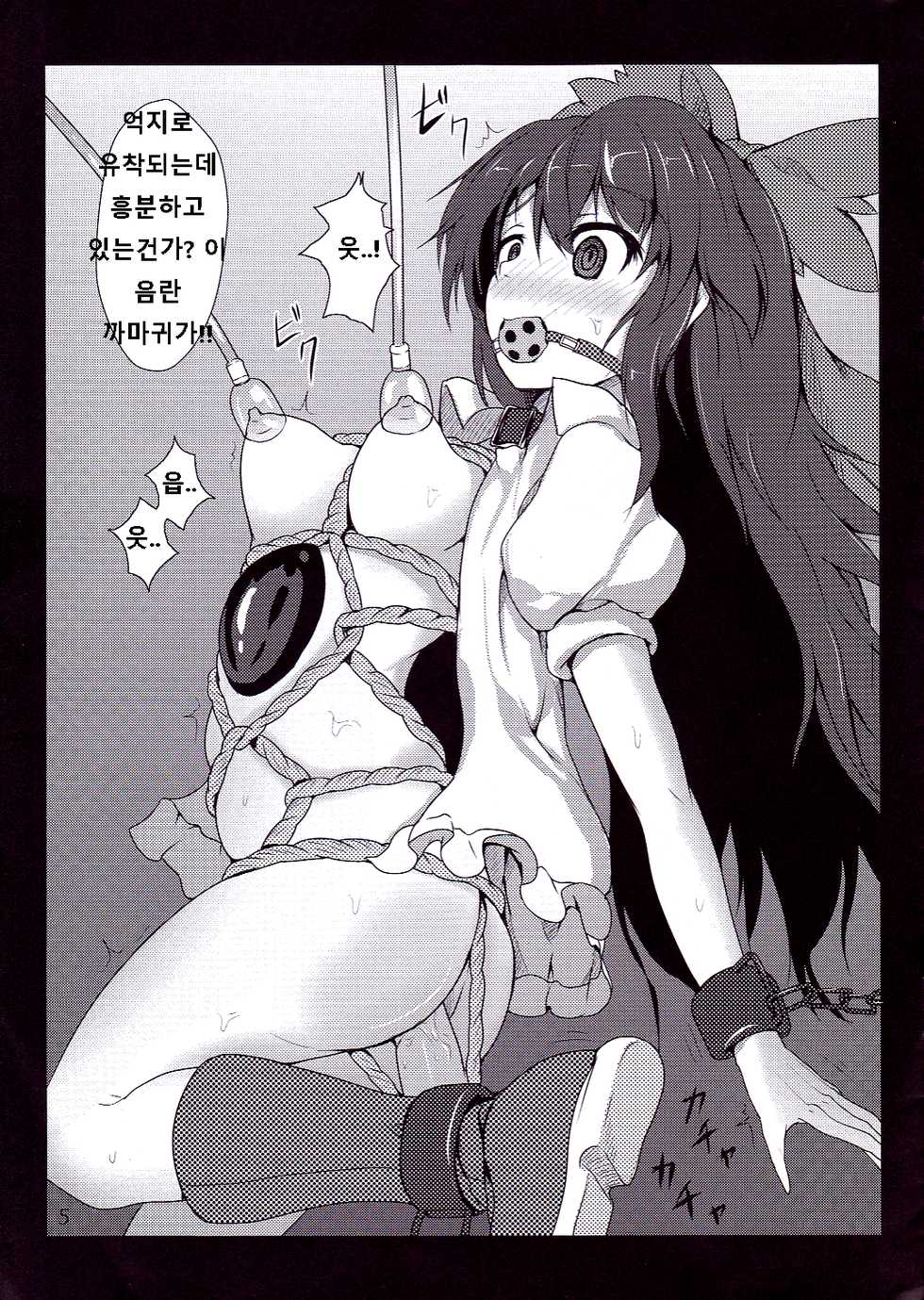 [Hinatamizu (Hinami)] Toritome. (Touhou Project) [Korean] [KD35] [2012-08-31] - Page 3