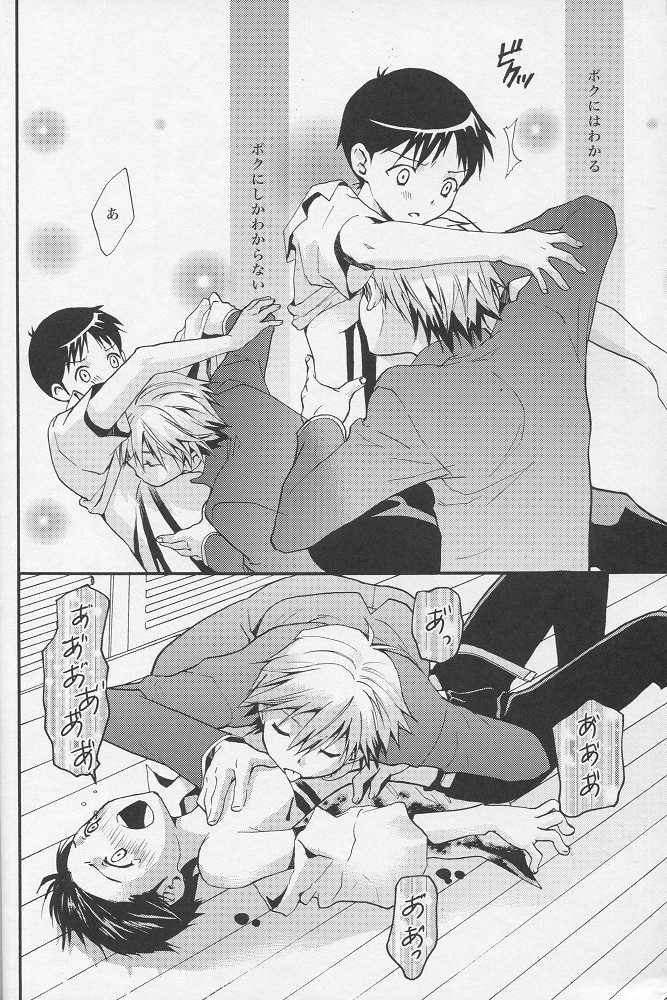 (C77) [RAYTREC (Fuyunagi Reku)] +PLUS (Neon Genesis Evangelion) - Page 9
