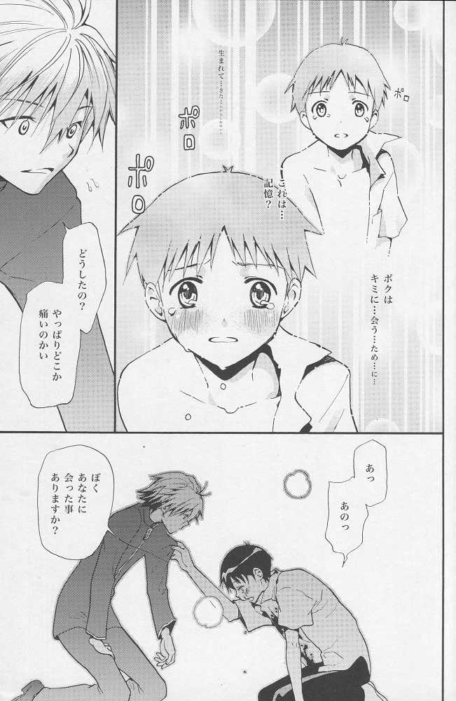 (C77) [RAYTREC (Fuyunagi Reku)] +PLUS (Neon Genesis Evangelion) - Page 14