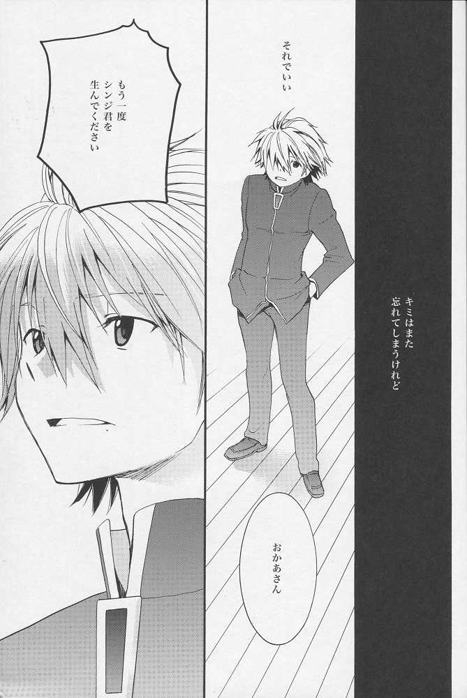 (C77) [RAYTREC (Fuyunagi Reku)] +PLUS (Neon Genesis Evangelion) - Page 30