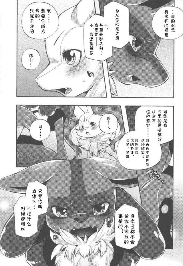 (C89) [Dogear (Inumimi Moeta)] Korekara wa Zutto Issho | From Now On, We'll Always Be Together (Pokémon Mystery Dungeon) [Chinese] - Page 19