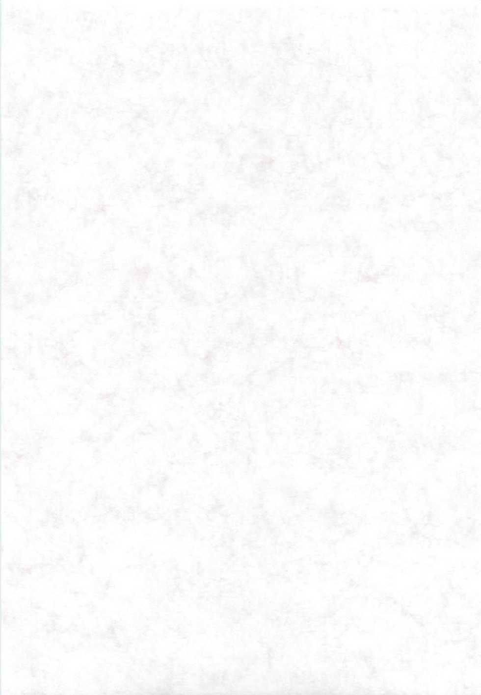 (USA5) [Mizukidou (Mizuki Takehito)] Dengeki Ragna - Electric Ragnarok (Ragnarok Online) - Page 2