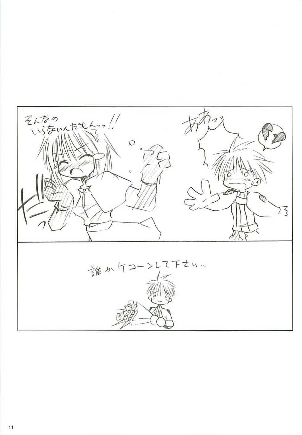 (USA5) [Mizukidou (Mizuki Takehito)] Dengeki Ragna - Electric Ragnarok (Ragnarok Online) - Page 12