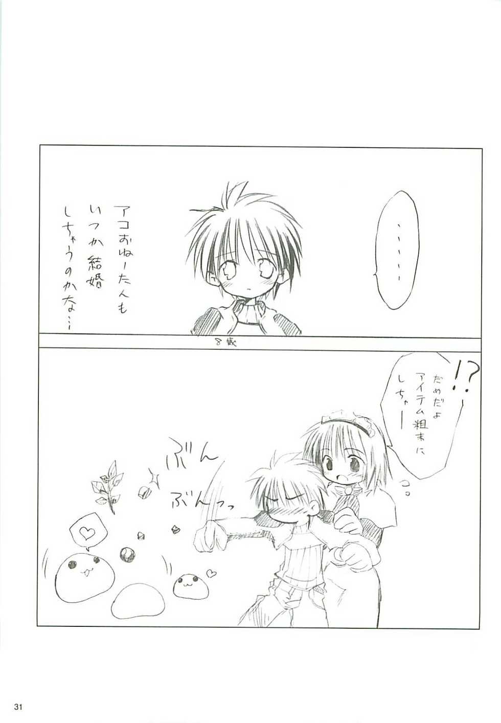 (USA5) [Mizukidou (Mizuki Takehito)] Dengeki Ragna - Electric Ragnarok (Ragnarok Online) - Page 32