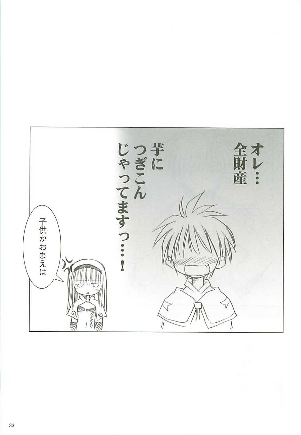 (USA5) [Mizukidou (Mizuki Takehito)] Dengeki Ragna - Electric Ragnarok (Ragnarok Online) - Page 34