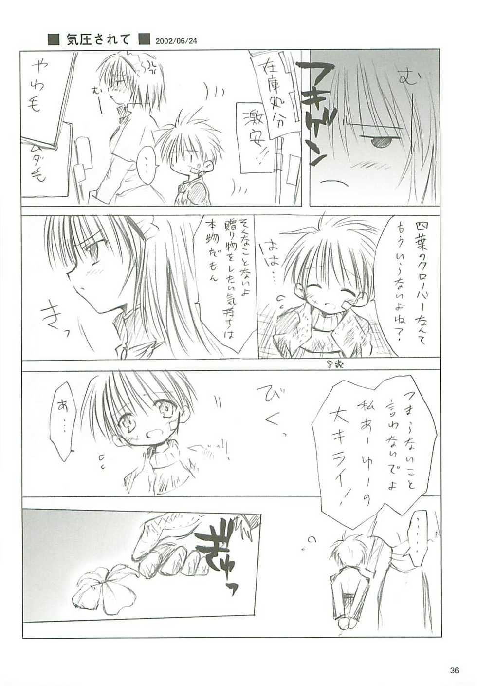 (USA5) [Mizukidou (Mizuki Takehito)] Dengeki Ragna - Electric Ragnarok (Ragnarok Online) - Page 37