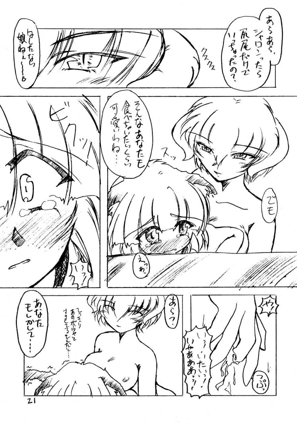 (C60) [STARLESS, SilverWings (Various)] HYPER d - Page 21