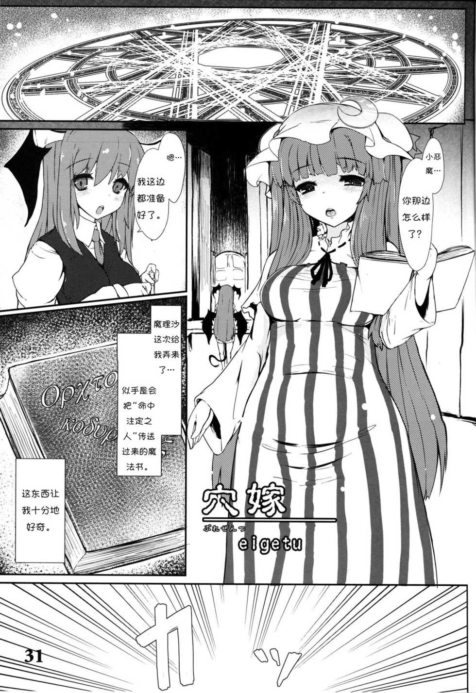 (Reitaisai 10) [Sora Osen Nantai Neko (Various)] CENSORED II (Touhou Project) [Chinese] [诱骗者迪卡伊个人汉化] - Page 31