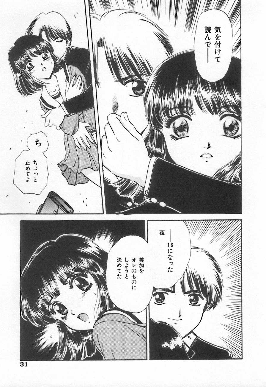 [Anthology] Shirikodama 3 - Page 31