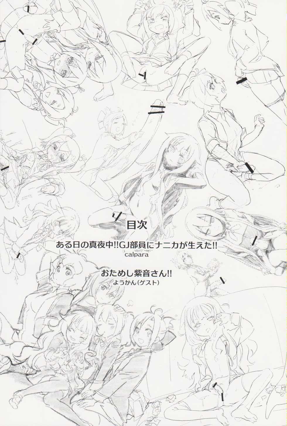 (Hashiri Dasou! 2) [calpara-shed (calpara, Youkan)] Aru Hi no Mayonaka!! GJ-buin ni Nanika ga Haeta!! (GJ-bu) - Page 3