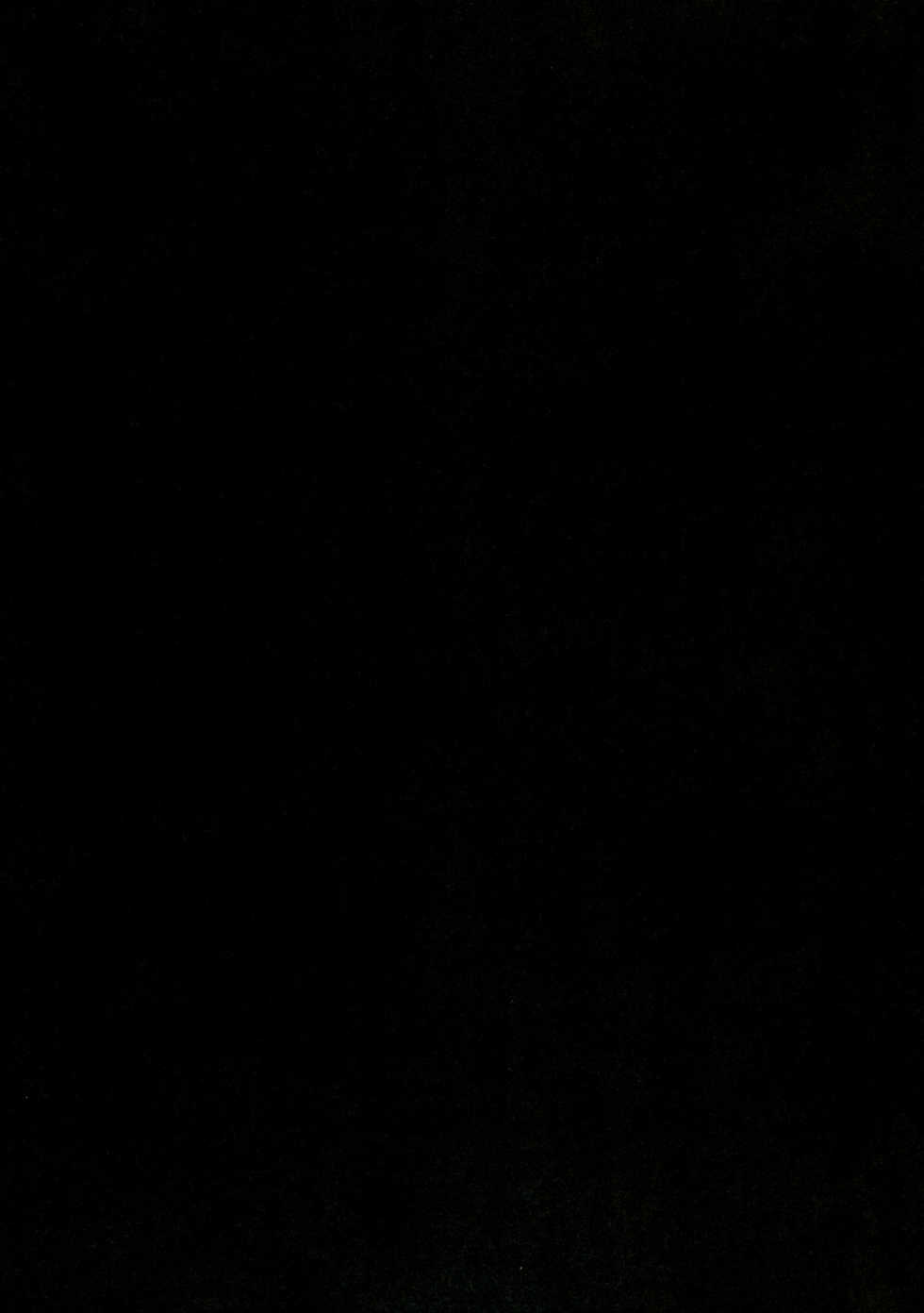 [Cyber Angel (Murai Aria)] Genei Sampo (Touhou Project) - Page 2