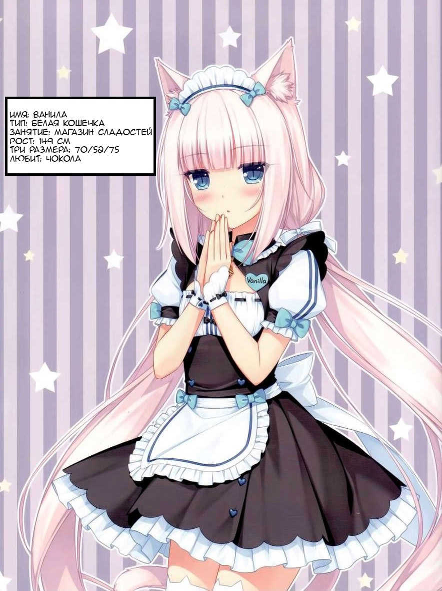 (C84) [NEKO WORKs (Sayori)] Nekopara 01 [Russian] [SN4IL] [Decensored] [Incomplete] - Page 3