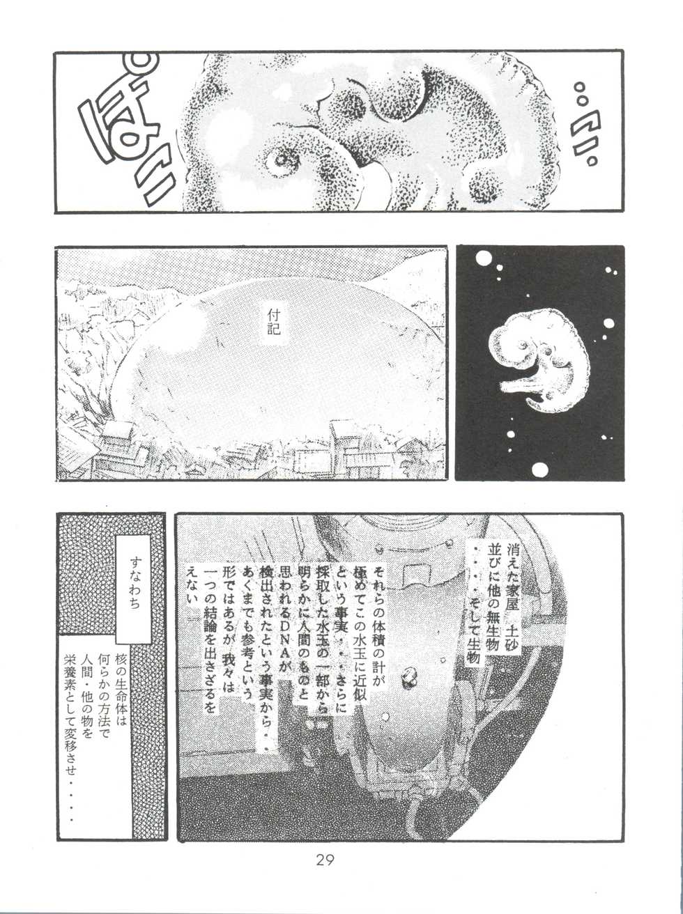 (C51) [Studio Parfe (Dohi Kensuke)] Evan 26.5 Zero (Neon Genesis Evangelion) - Page 28
