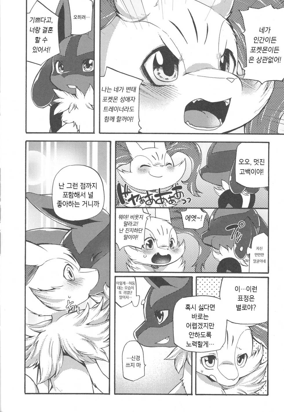 (C89) [Dogear (Inumimi Moeta)] Korekara wa Zutto Issho | From Now On, We'll Always Be Together (Pokémon Mystery Dungeon) [Korean] [시뮬라시옹] - Page 13