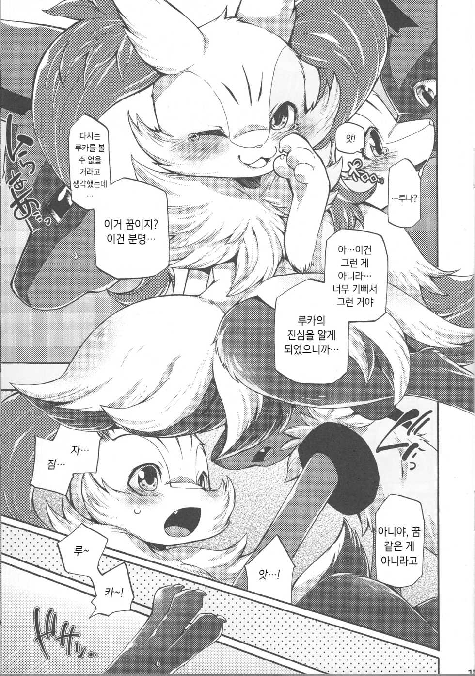 (C89) [Dogear (Inumimi Moeta)] Korekara wa Zutto Issho | From Now On, We'll Always Be Together (Pokémon Mystery Dungeon) [Korean] [시뮬라시옹] - Page 14