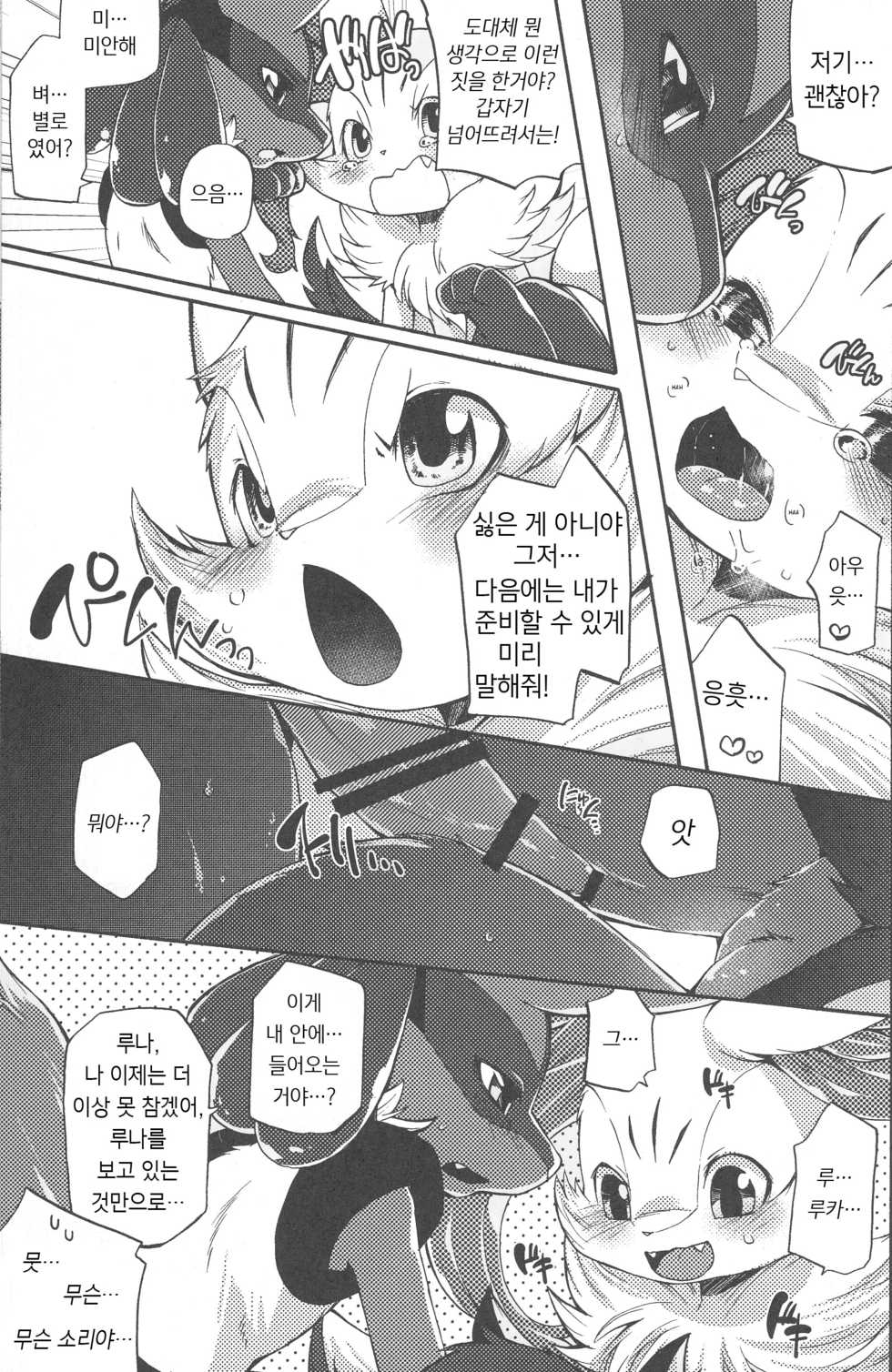 (C89) [Dogear (Inumimi Moeta)] Korekara wa Zutto Issho | From Now On, We'll Always Be Together (Pokémon Mystery Dungeon) [Korean] [시뮬라시옹] - Page 17