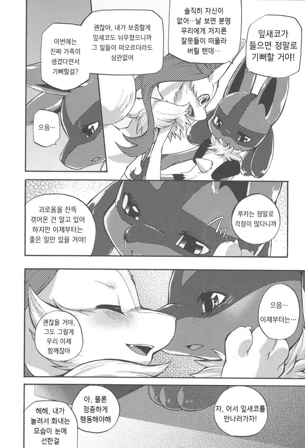 (C89) [Dogear (Inumimi Moeta)] Korekara wa Zutto Issho | From Now On, We'll Always Be Together (Pokémon Mystery Dungeon) [Korean] [시뮬라시옹] - Page 28