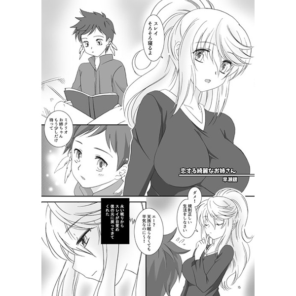 (C90) [CYBER WORLD SISTERS (Hayase Gin, Kiyama Shiro)] Ore no Kirei na Oneesan (Tales of Zestiria) [Sample] - Page 12
