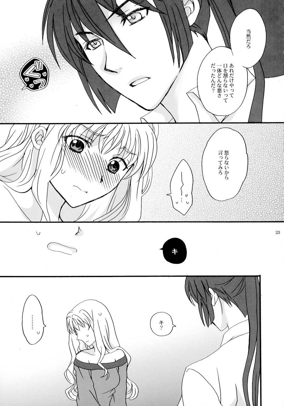 (C89) [LOVE ME DO (Natsume)] PRIZM FORTUNE (Macross Frontier) - Page 23