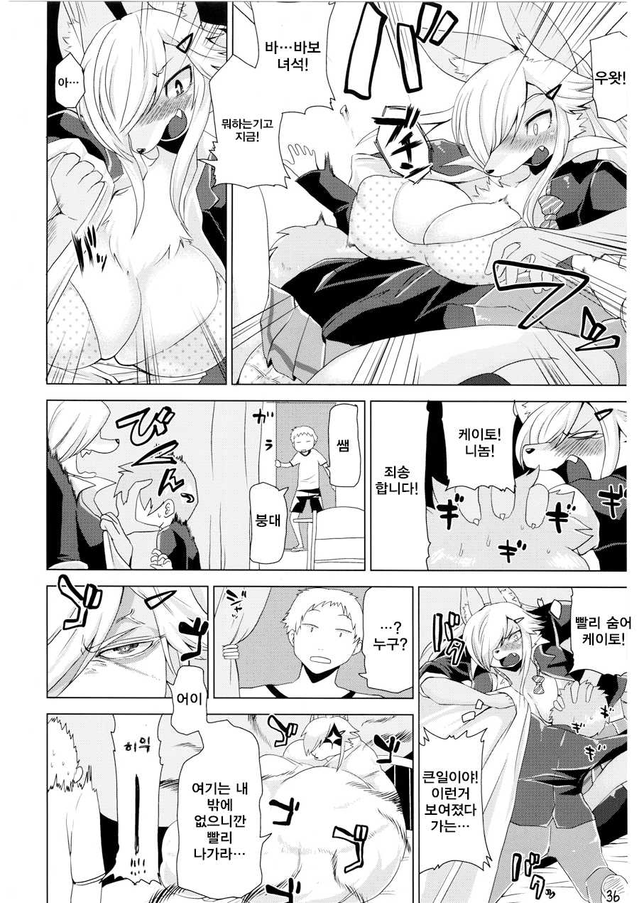 (C87) [Kishiben (Various)] School Guide [Korean] [뀨뀨꺄꺄, LWND] - Page 37