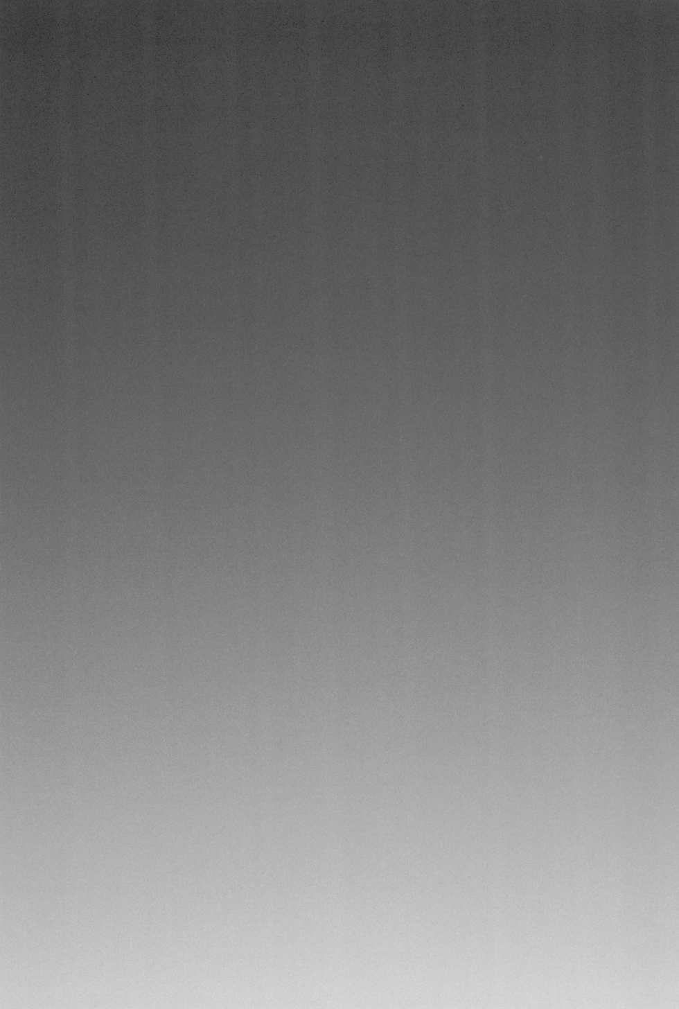 (C82) [Ashinoie (Taryl.)] Hinnyuu Musume 26 (Berserk) - Page 25