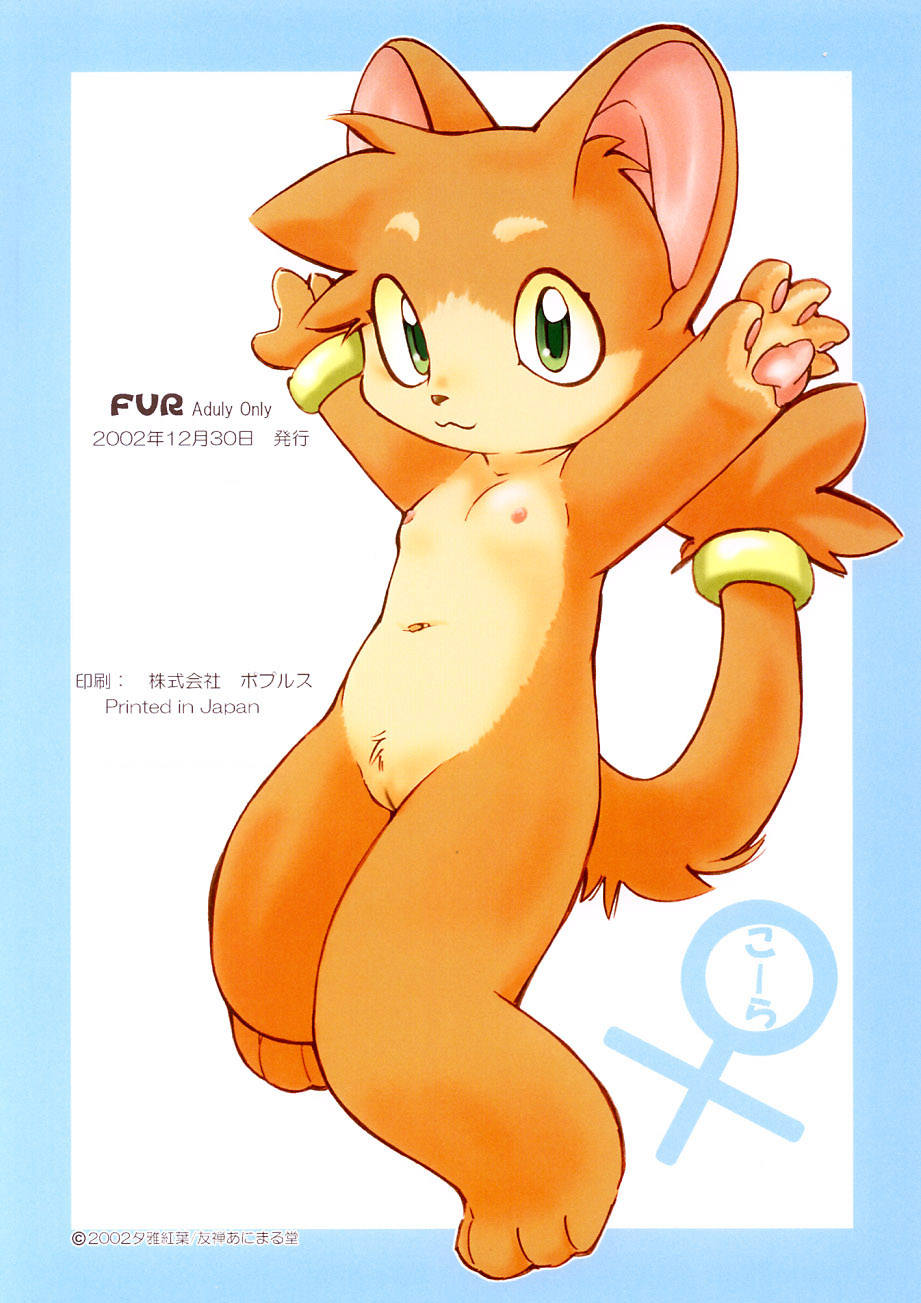 (C63) [Yuuzen Animal Dou (Yuuga Momiji)] FUR - Page 10