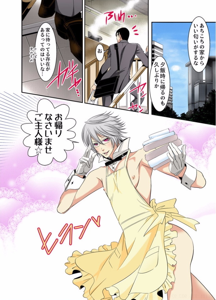 [MAM☆RU] Hatsujou Bunny Shitsuji II - Page 3