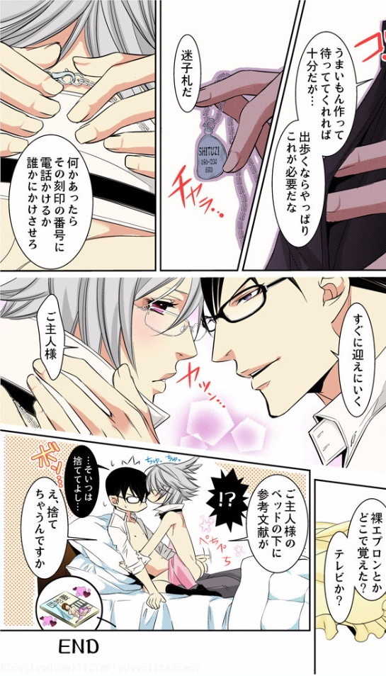 [MAM☆RU] Hatsujou Bunny Shitsuji II - Page 12