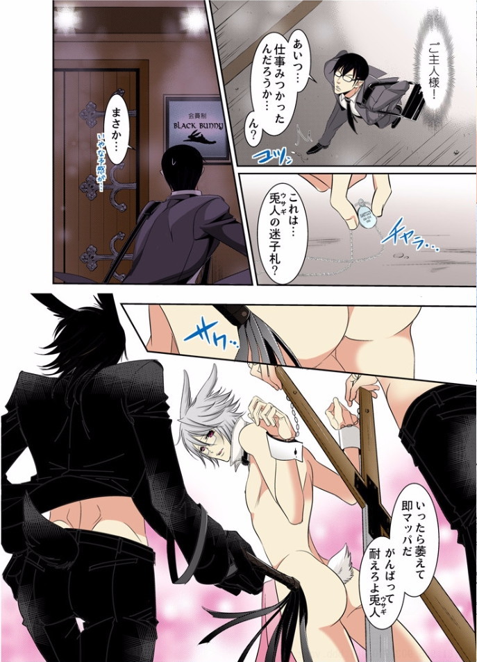 [MAM☆RU] Hatsujou Bunny Shitsuji II - Page 19