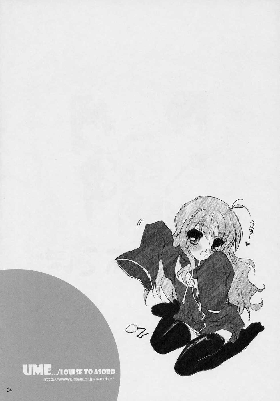 (COMIC1) [DREAMS (Various)] Banyuu Kenryoku no Housoku LUIZOO (Zero no Tsukaima) - Page 33