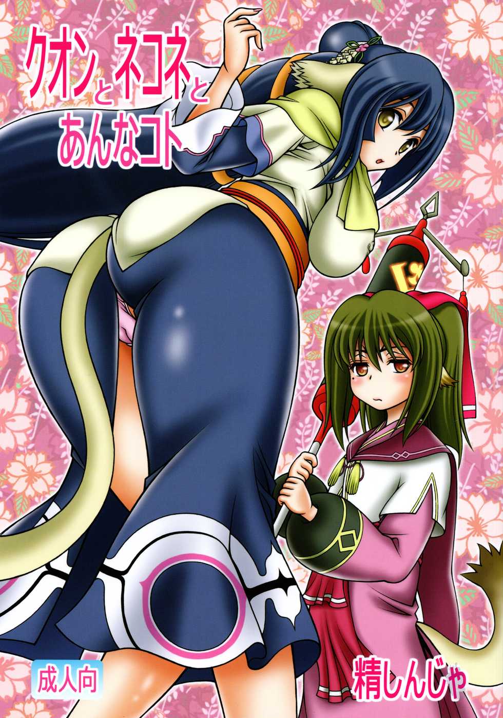 (COMIC1☆10) [Studio Wallaby (Seishinja)] Kuon to Nekone to Anna Koto (Utawarerumono Itsuwari no Kamen) - Page 1