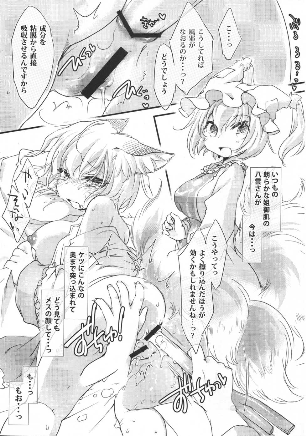 (C89) [Hinaprin (Ikuta Takanon)] Kazehiki Ran-sama. - Run Catch a Cold! (Touhou Project) - Page 10