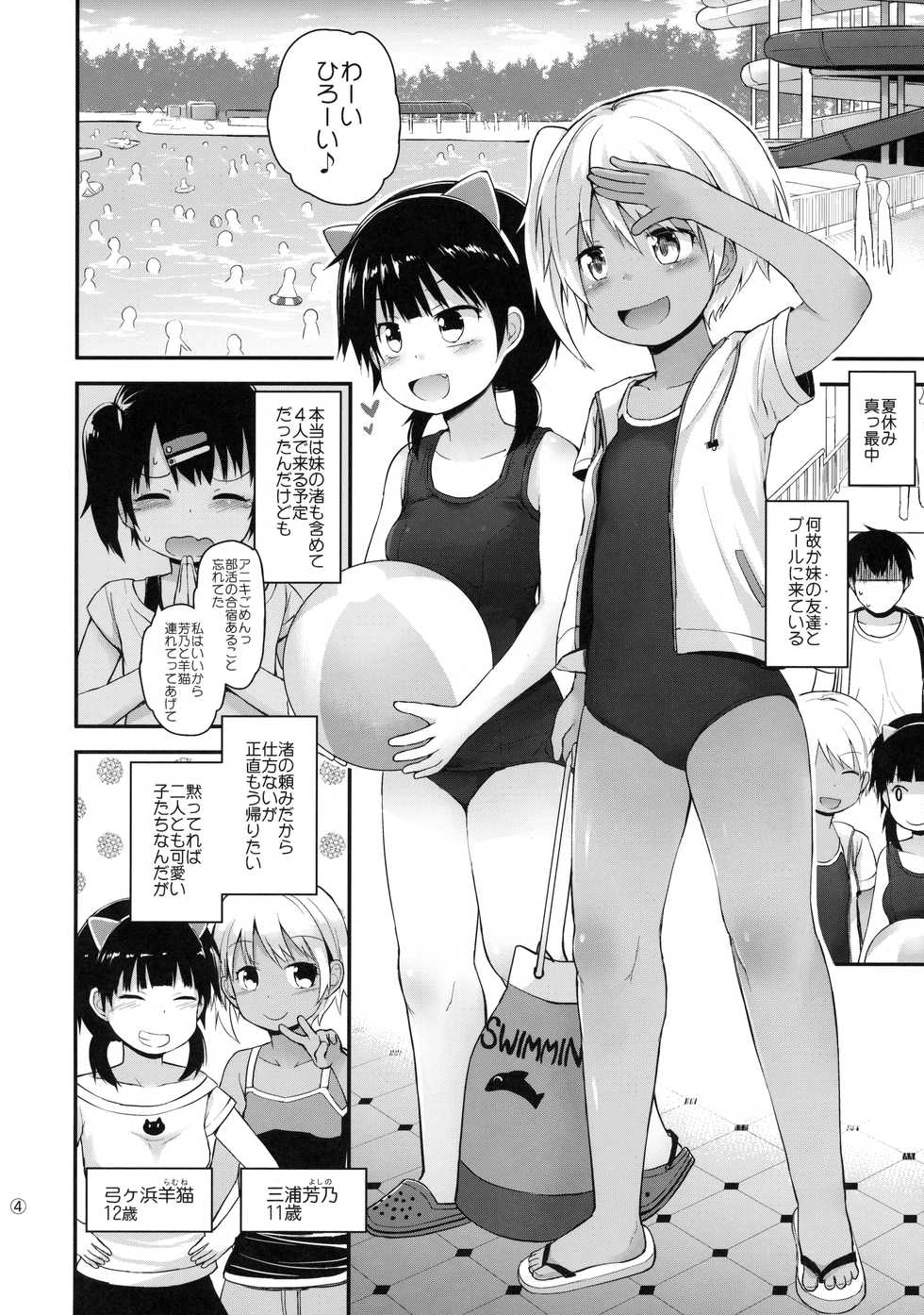(C90) [Pico Pico Labyrinth (Fujisaka Lyric)] Itazura Joji-tachi to Natsuyasumi - Page 3