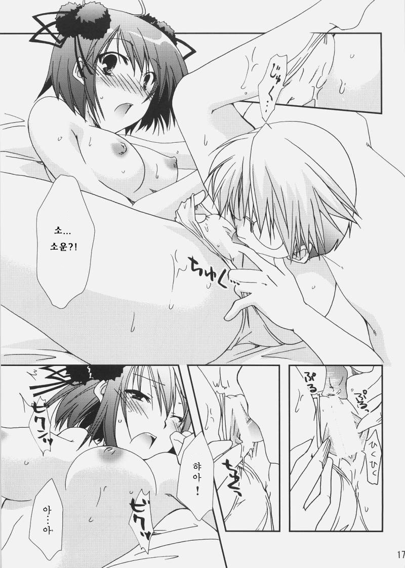 (C73) [Chagashi Saiban (Yamabuki Mook)] Saran | 소란 (Sengoku Rance) [Korean] [팀 면갤] - Page 16