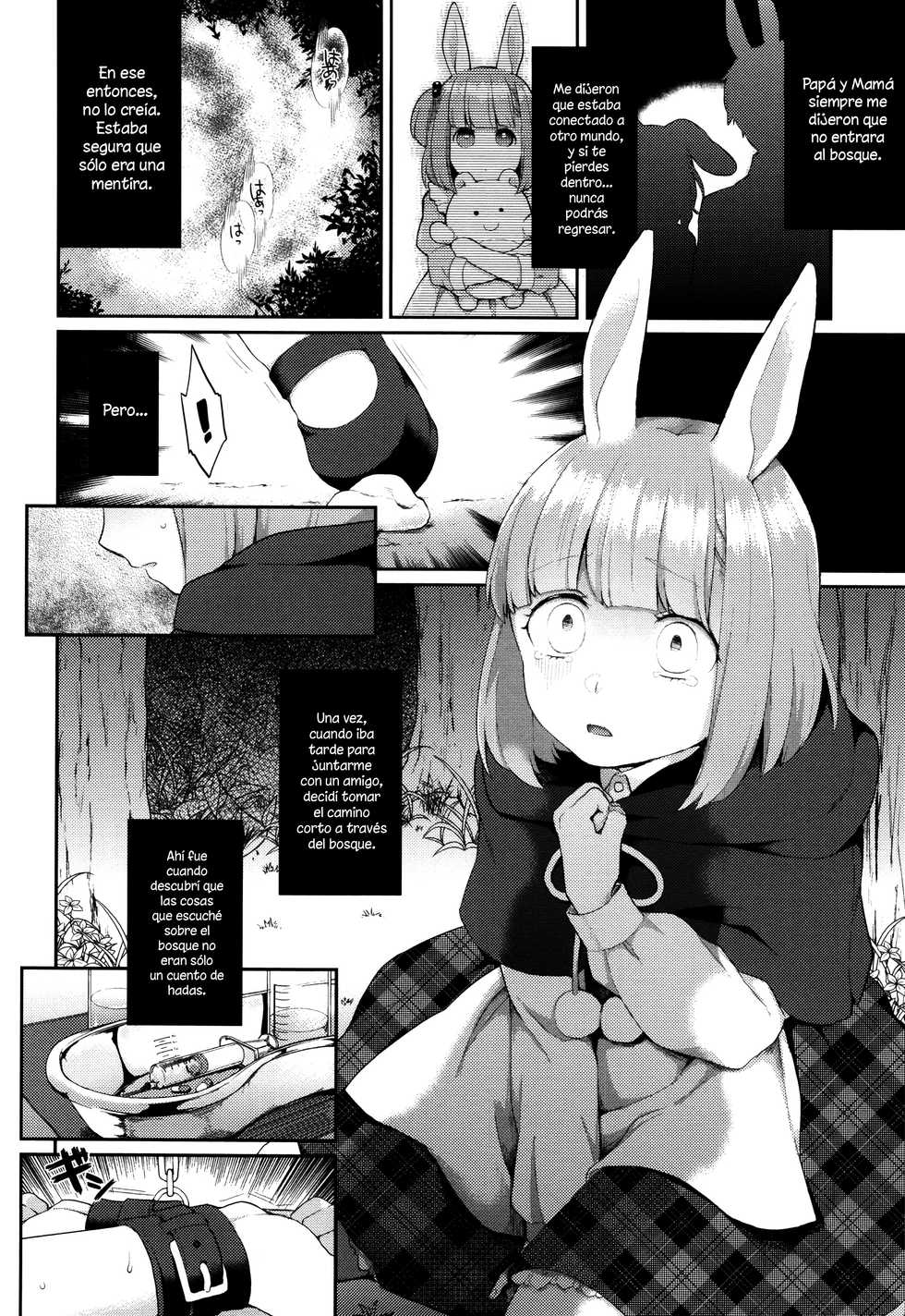[majoccoid] Rabbit Hole (Yume miru Slave) [Spanish] [XHentai95] - Page 2