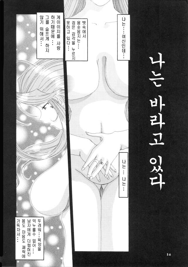 [Tenzan Koubou (Tenchuumaru)] Nightmare of My Goddess Vol. 4 (Ah! My Goddess) [Korean] [검도가이] - Page 13