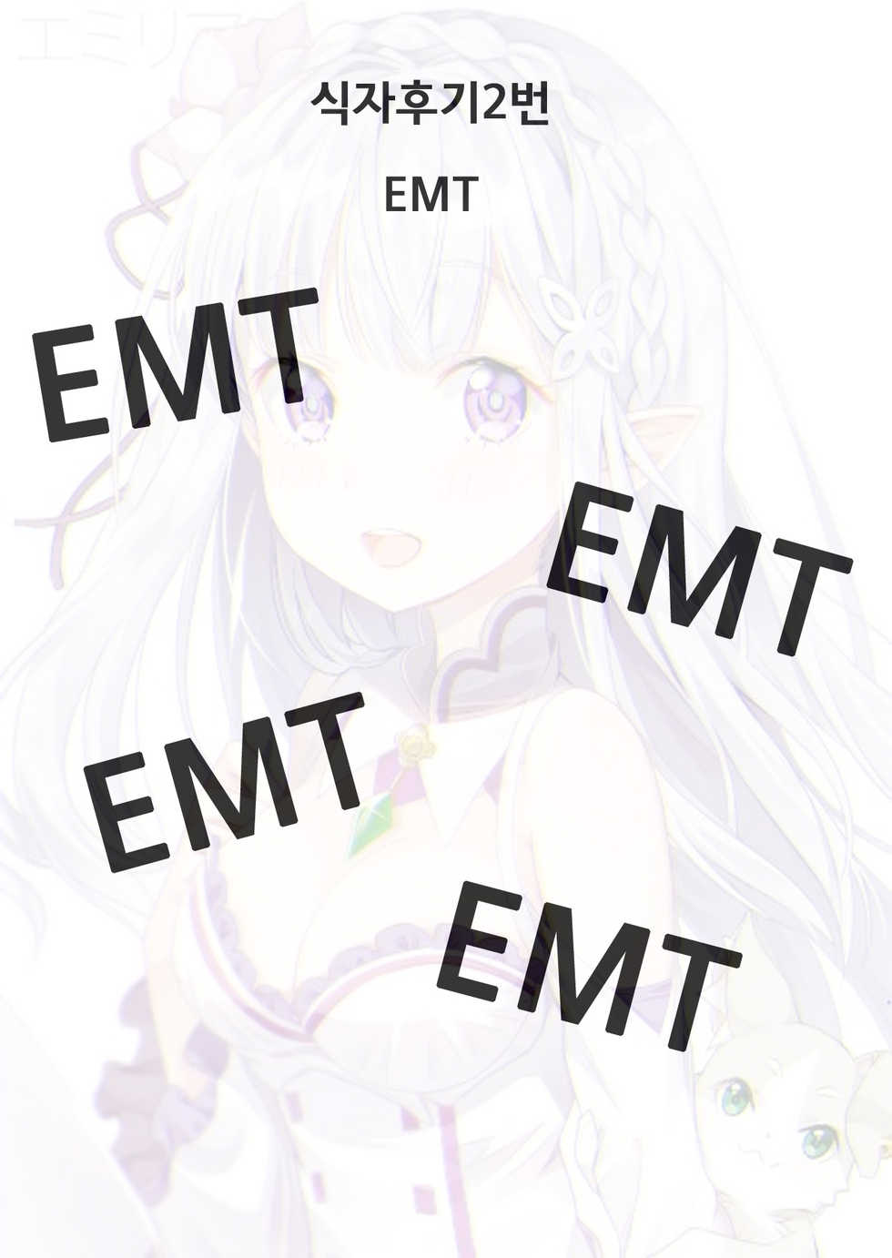 (C90) [PINK CHUCHU (Mikeou)] Subaru-kun Rem o Suki ni Shite Ii desu yo (Re:Zero kara Hajimeru Isekai Seikatsu) [Korean] [팀데레마스] - Page 25