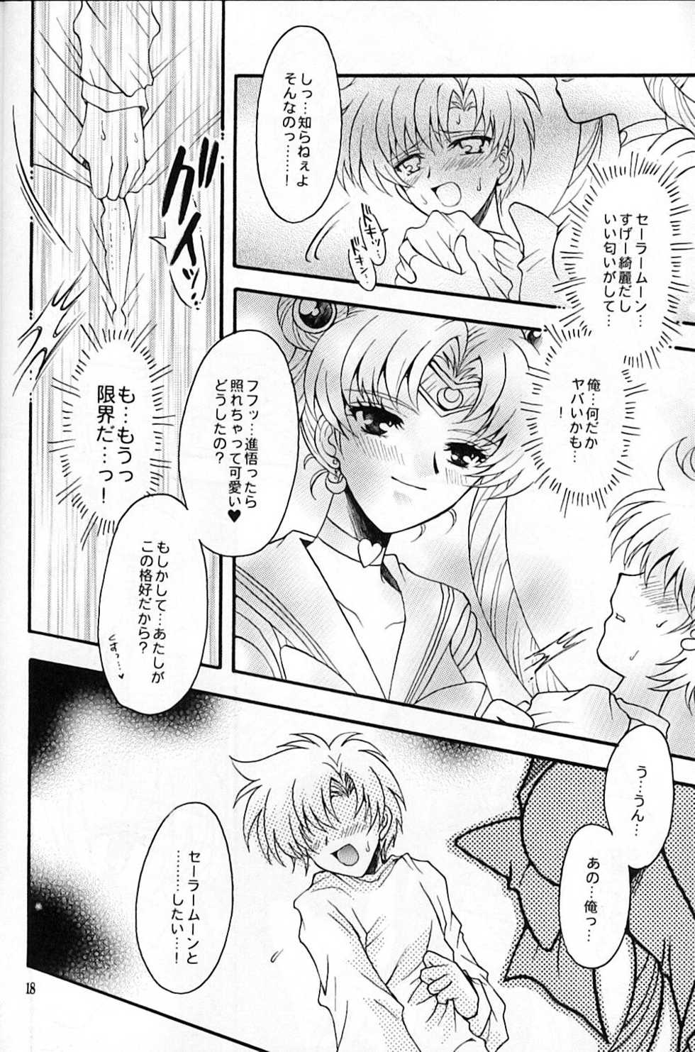 (C67) [Kotori Jimusho (Sakura Bunchou)] chanson de I'adieu (Sailor Moon) - Page 19