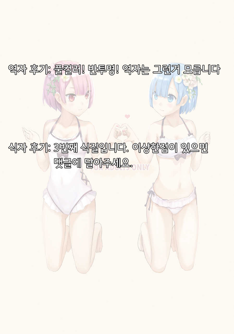 [Buwu 26℃ (Sayika)] H Kara Hajimeru Isekai Seikatsu | H부터 시작하는 이세계 생활 (Re:Zero kara Hajimeru Isekai Seikatsu) [Korean] [팀☆데레마스] [Digital] - Page 17
