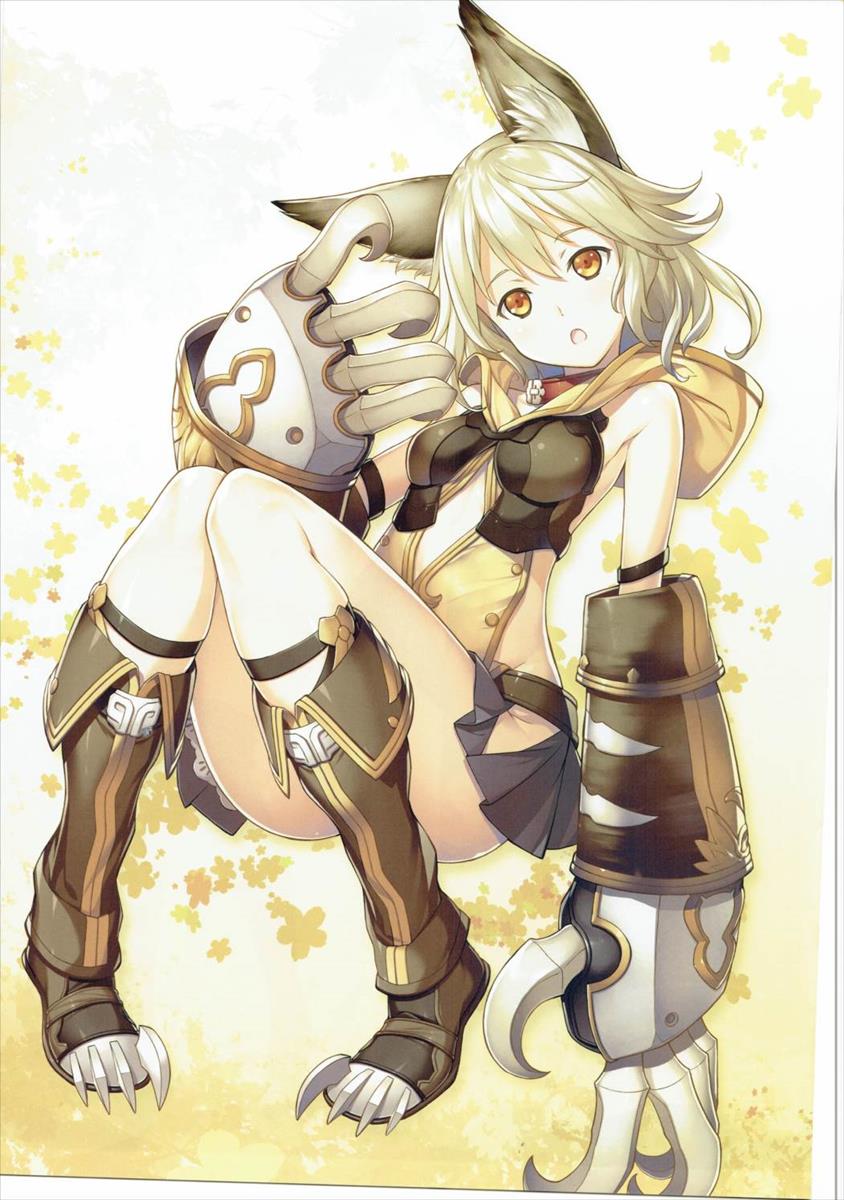 (C90) [American Kenpou (Kikuchi Seiji)] Shingari - Denchuu de Gozaruzo Denchuu de Gozaru (Granblue Fantasy) - Page 4